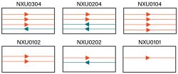 Nexperia — NXU0304 4-bit Translators